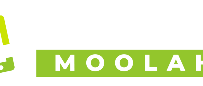 Mobile Moolah Review